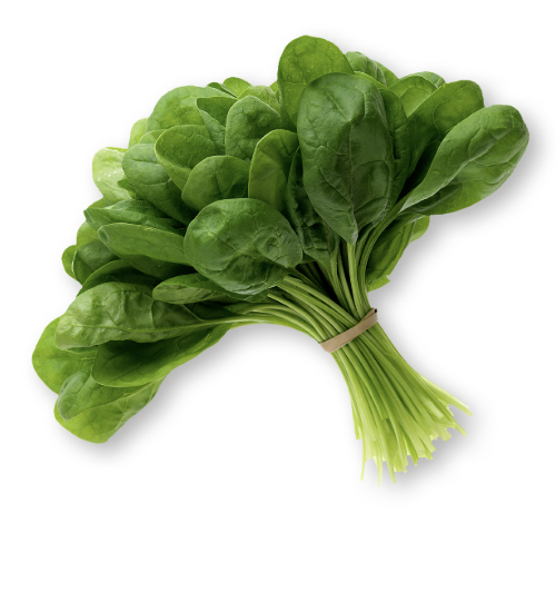 Spinach